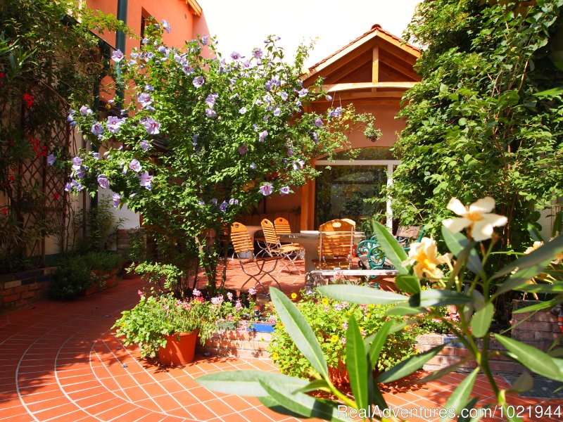 A beautiful garden in the heart of the city | Hostel Ruthensteiner | Image #2/8 | 