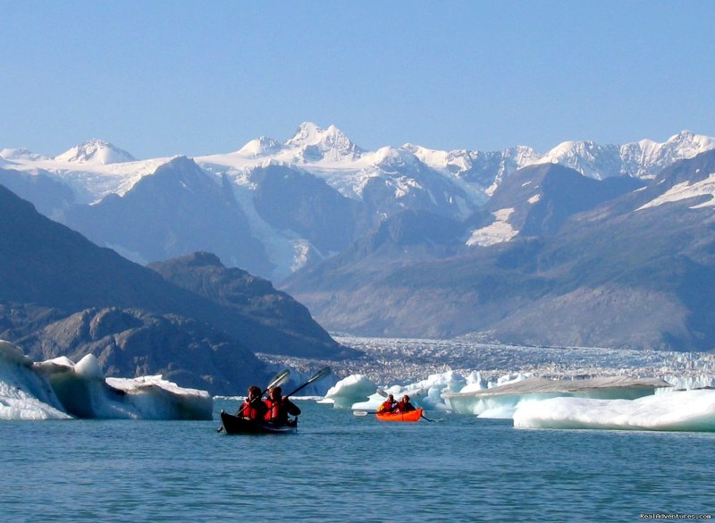 Paddle into the Columbia's massive floating icefield. | Alaska Sea Kayaking with Pangaea Adventures | Image #2/8 | 