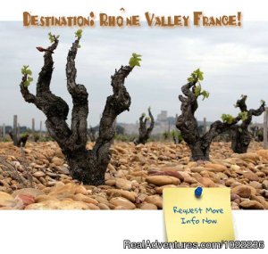 Splash Wine Tours to France | Chateauneuf du Pape, France Cooking Classes & Wine Tasting | Personal Growth & Educational Leon, France