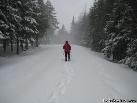 Snowshoeing in Lily Bay Park | Lodge at Moosehead Lake for Nature Loving Hideaway | Image #5/15 | 
