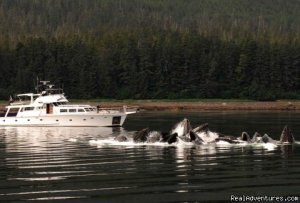 Alaska Yacht Charters Aboard Alaskan Song | Sitka, Alaska