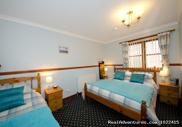 Hamilton Room | Westbourne Guest House | Image #2/10 | 