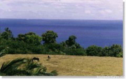 view of meadow | Hale Ikena Nui (house with view) | Image #2/2 | 