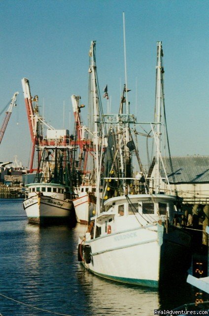 Shrimp boats on Amelia Island | TourTime, Inc. | Image #6/8 | 