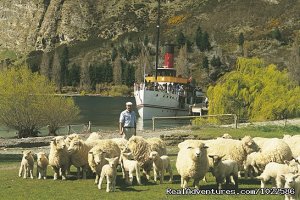 Experience New Zealand Travel | Wellington, New Zealand Sight-Seeing Tours | Lake Wanaka, New Zealand