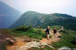 Hike & Walk with Scott Walking Adventures | Hubbards, Nova Scotia | Hiking & Trekking