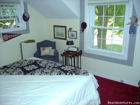 Americana Room | Horse&Carriage Bed&Breakfast | Jonesville, Michigan  | Bed & Breakfasts | Image #1/9 | 
