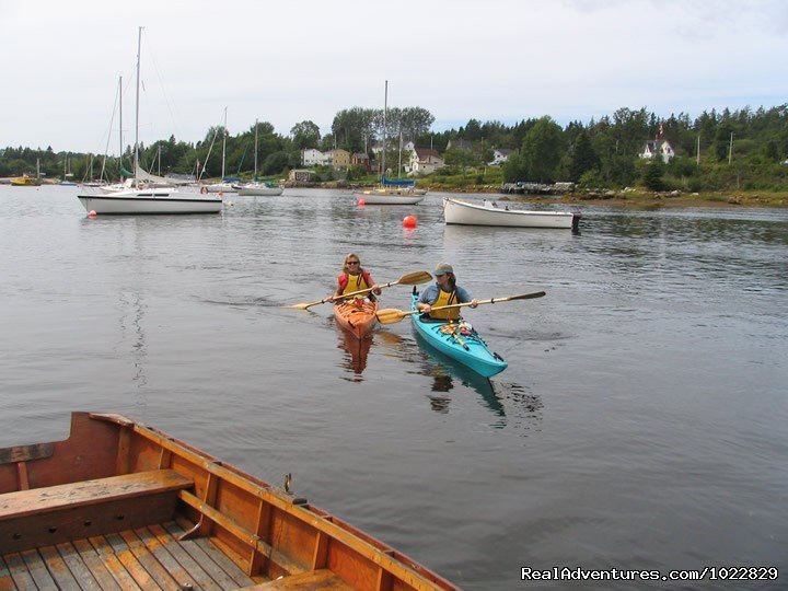 Kayaking on the Cove | Anchorage House & Cottages | Image #18/20 | 