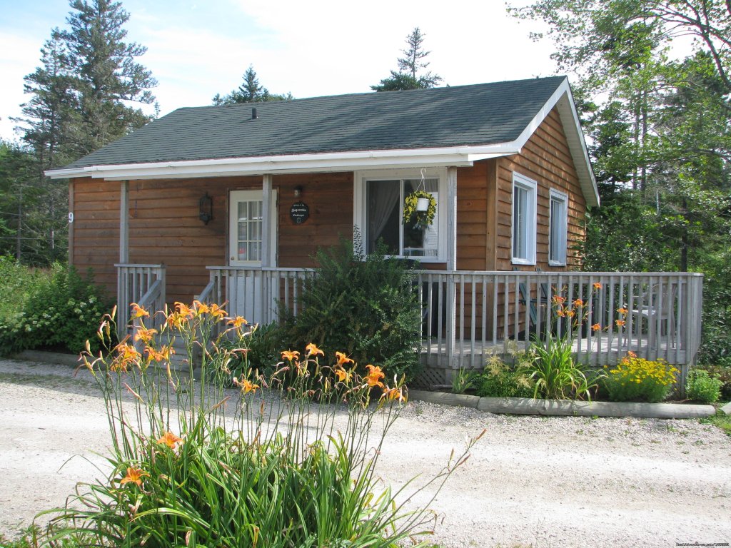 Bayswater Cottage - large 1 bedroom with children's loft | Anchorage House & Cottages | Image #8/20 | 