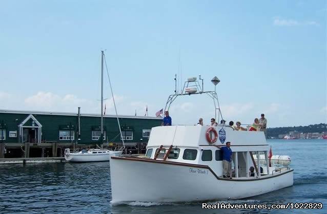 Enjoy a boat tour with Four Winds | Anchorage House & Cottages | Image #20/20 | 