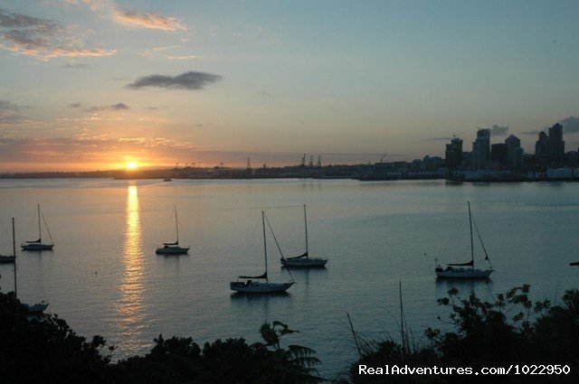 sunrise from No 1 | Auckland Number One  House Homestay | Image #13/24 | 