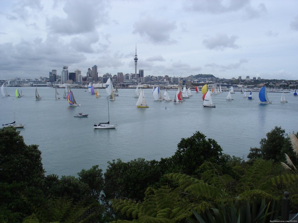 Sailing Outside From Deck | Auckland Number One  House Homestay | Image #21/24 | 