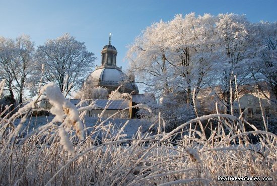 Winter in Flanders | 't Staaksken , a place for garden lovers | Image #24/24 | 