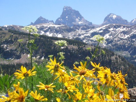 A view of the Tetons | Horseback riding in the Tetons & Yellowstone Park | Image #2/15 | 