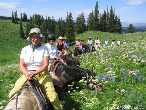 Tin Cup Trail | Horseback riding in the Tetons & Yellowstone Park | Image #3/15 | 