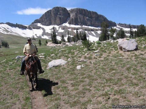 This view is of the Head of Green Mountain | Horseback riding in the Tetons & Yellowstone Park | Image #15/15 | 