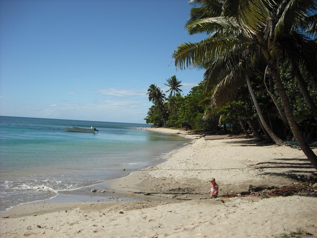 Dive Kadavu / Matana Beach Resort | Vunisea, Fiji Hotels & Resorts ...