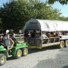 Beachcomber Camping Resort Daily Hayrides with the Gator!