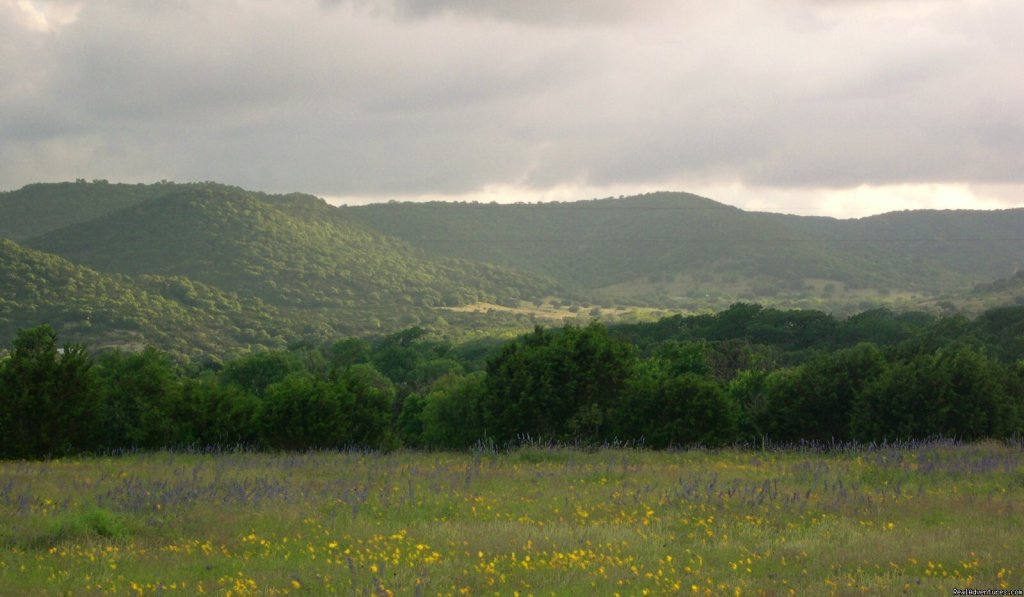 Texas Hill Country | Secluded Cabin in Texas Hill Country on Frio River | Image #2/12 | 