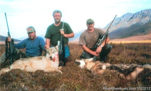 3 Hunters, 2 Wolves