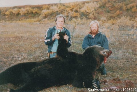 An Arctic Grizzly As Big As They Get