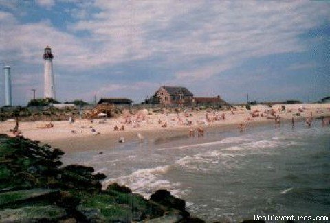 Cape May Light House | Holly Shores Camping Resort | Image #3/3 | 