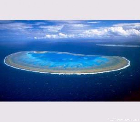 Lady Musgrave Island | Kellys Beach Resort- Naturally the place to stay | Image #8/8 | 