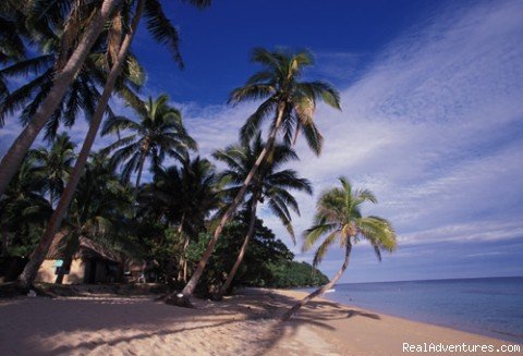 Resort in Kadavu | Sea-kayak Fiji | Kadavu Island, Fiji | Eco Tours | Image #1/9 | 