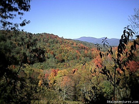 Fall Splendor on Hummingbird Hill | Hummingbird Lodge Bed & Breakfast | Banner Elk, North Carolina  | Bed & Breakfasts | Image #1/3 | 