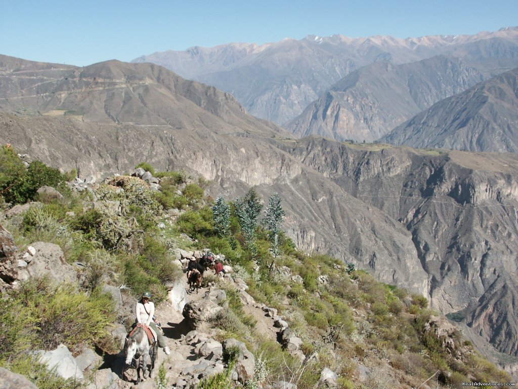 Colca Canyon | Inca trail to Machu Picchu | Image #11/15 | 