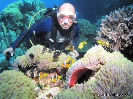 Diver Exploring the Reef | Egypt Tours, Nile Cruises & Red Sea Diving | Image #12/22 | 