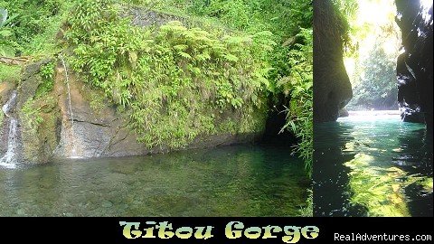 Titou Gorge, Morne Trois Pitons National Park | Nature Island Destinations Ltd. | Image #5/15 | 