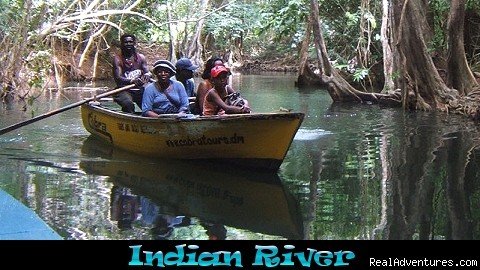 Indian River boat ride | Nature Island Destinations Ltd. | Image #9/15 | 