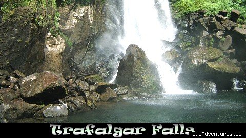 Trafalgar Falls, Roseau Valley | Nature Island Destinations Ltd. | Image #11/15 | 