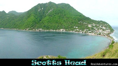 Scotts Head in the south | Nature Island Destinations Ltd. | Image #13/15 | 