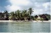Green Parrot Beach Houses & Resort | Placencia, Belize