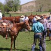 Get away and relax at The Wald Ranch Getting ready to brand