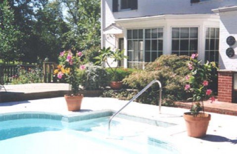 Swimming Pool | Pinecrest Cottage and Gardens | Image #2/3 | 