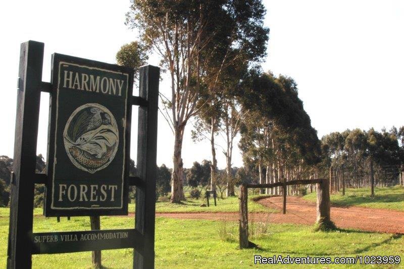 Entrance to the Property | Harmony Forest Villas And Vineyard | Image #3/5 | 