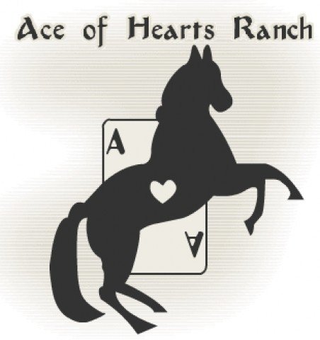 Photo #1 | Horse Ranch for Riding Trails, Boarding & Getaways | Image #2/2 | 