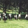 Camping w Horses in the Black Hills mountanous terrain w/ breathtaking views