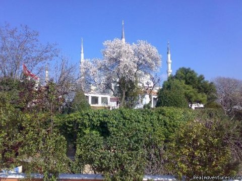 Blue Mosque viewed from breakfast area