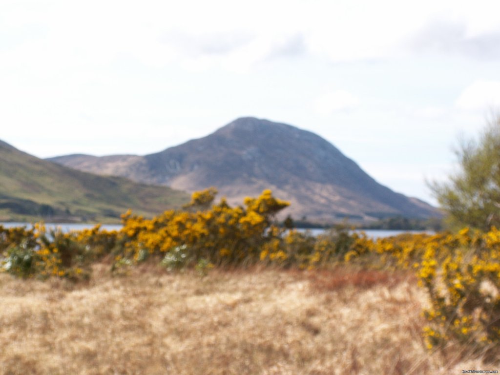 Experience the West of Ireland - Cycling & Walking | Image #8/21 | 