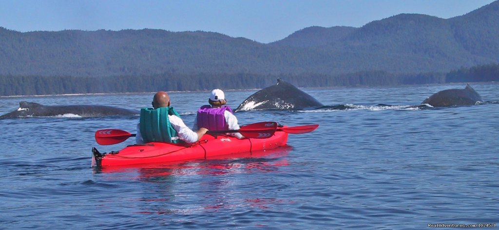 Alaska Sea Adventures