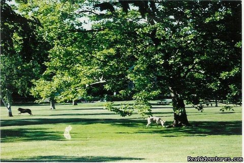 Dog & jogging park | Murray House:   It's a Special Place | Image #15/20 | 