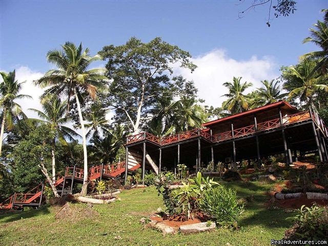 The Treehouse | Maravu Plantation Beach Resort & Spa | Taveuni Island, Fiji | Hotels & Resorts | Image #1/5 | 