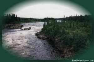 Black Spruce Tours | Northern Peninsula, Newfoundland Eco Tours | Canada Nature & Wildlife
