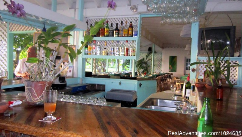 Bar | Oualie Beach Resort, Nevis | Image #9/16 | 
