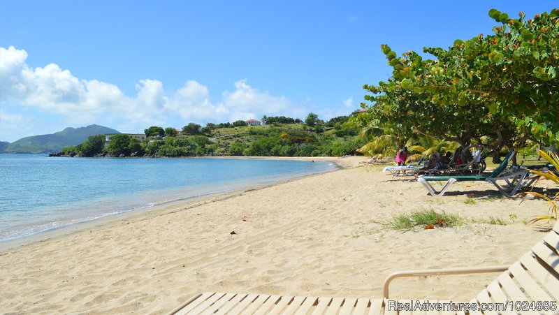 Beach | Oualie Beach Resort, Nevis | Image #11/16 | 