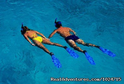 Enjoy the Deep Blue Waters - Snorkelling | Riviera Maya Villa & Condo rentals | Image #24/24 | 